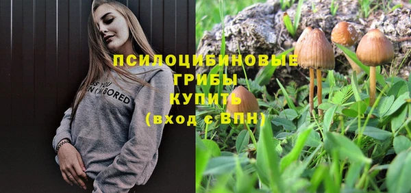 амф Новокубанск