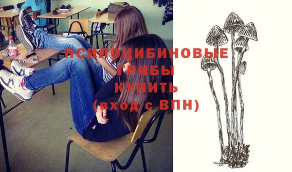 амф Новокубанск