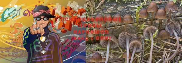 экстази Новодвинск