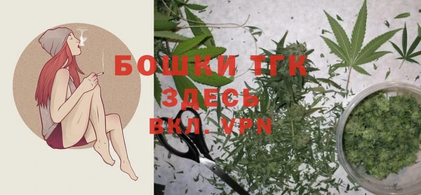 экстази Новодвинск