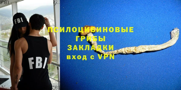 экстази Новодвинск