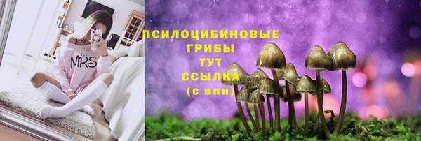 экстази Новодвинск