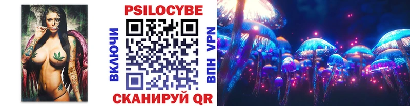 Псилоцибиновые грибы мицелий  hydra сайт  Нарьян-Мар  цены  